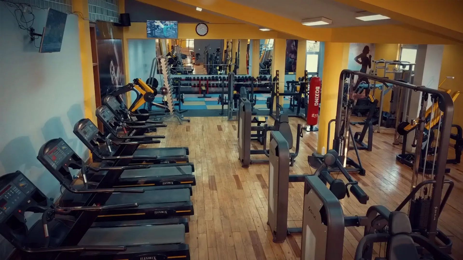 Free weights and strength training equipment at Power Gym